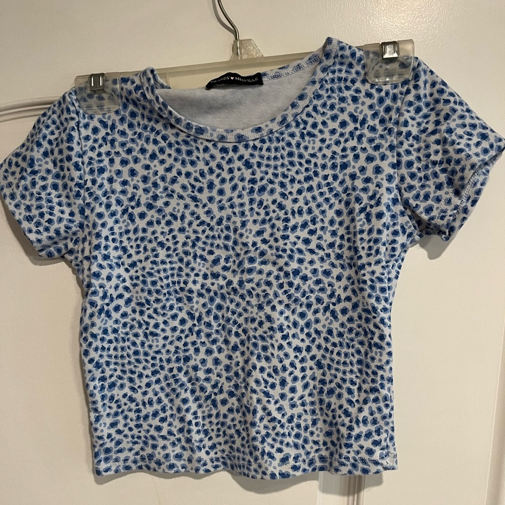 Brandy Melville Blue Crop Top